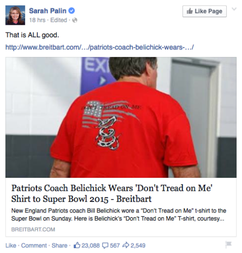 Palin Facebook Belichick